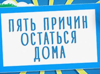 5 причин остаться дома