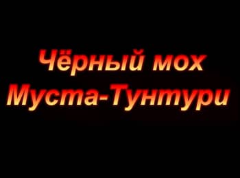 Черный мох Муста-Тунтури