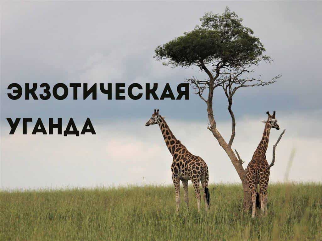 Экзотическая Уганда