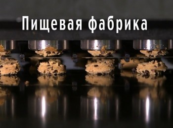 Фабрика еды Все вкусное в рожке