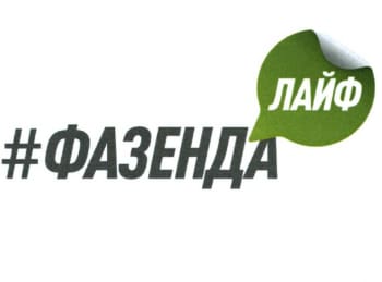 Фазенда Лайф Гостиная Новый год