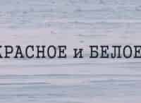 Красное и Белое. Эрмлер и Шульгин