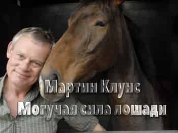 Мартин Клунс. Могучая сила лошади