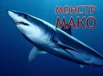 Монстр Мако