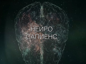 Нейро Сапиенс Деньги