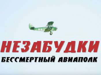 Незабудки. Бессмертный авиаполк