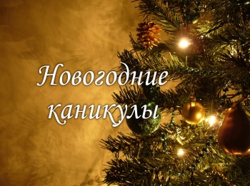 Новогодние каникулы