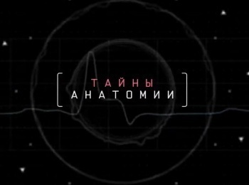 Тайны анатомии Дыхательная система