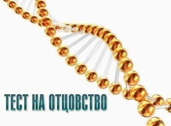 Тест на отцовство 304 серия