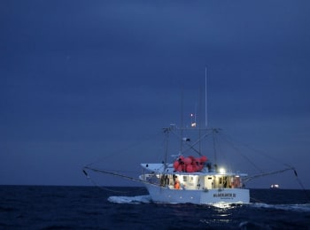 Техасский улов Море рыбы и ни одной поклевки