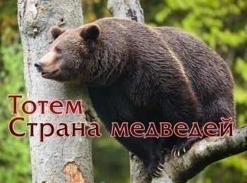 Тотем. Страна медведей